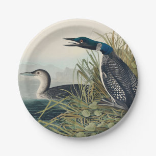 Audubon Bird Loon Diver Classic Paper Plates