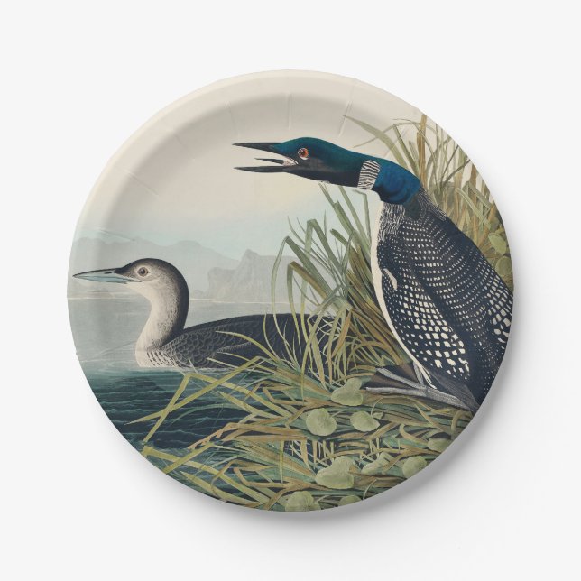 Audubon Bird Loon Diver Classic Paper Plates (Front)