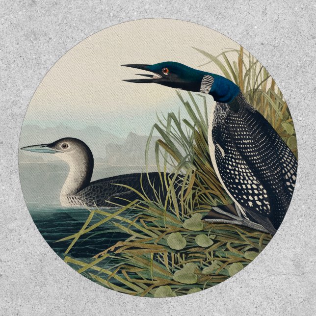 Audubon Bird Loon Diver Classic Patch (Front)