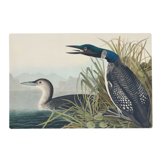Audubon Bird Loon Diver Classic Placemat (Front)