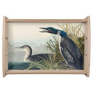 Audubon Bird Loon Diver Classic Serving Tray