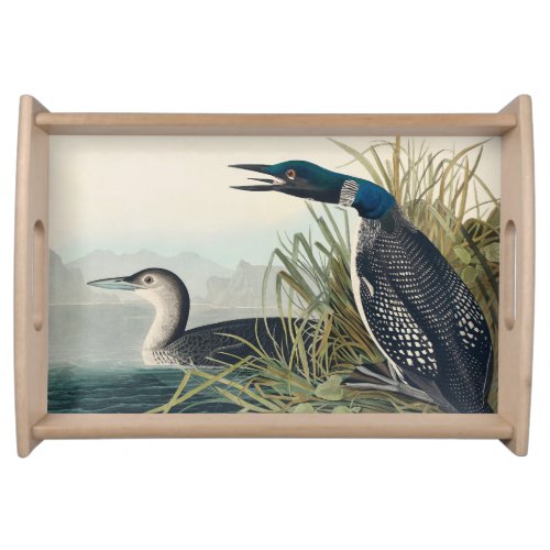 Audubon Bird Loon Diver Classic Serving Tray