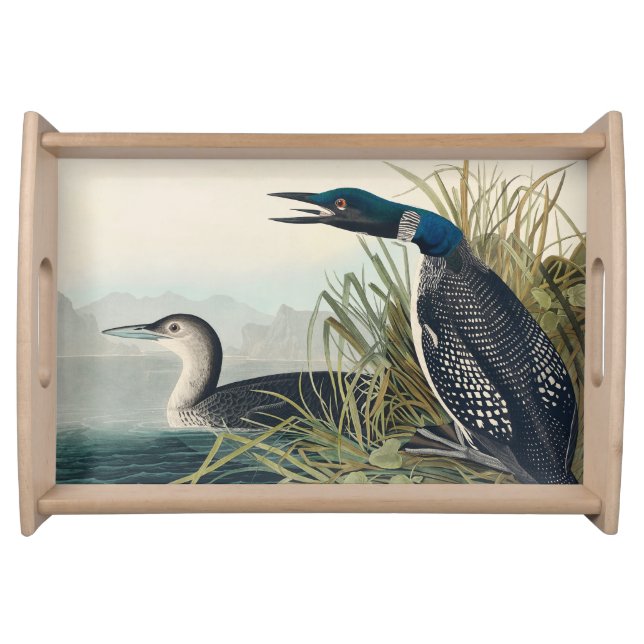 Audubon Bird Loon Diver Classic Serving Tray (Front)