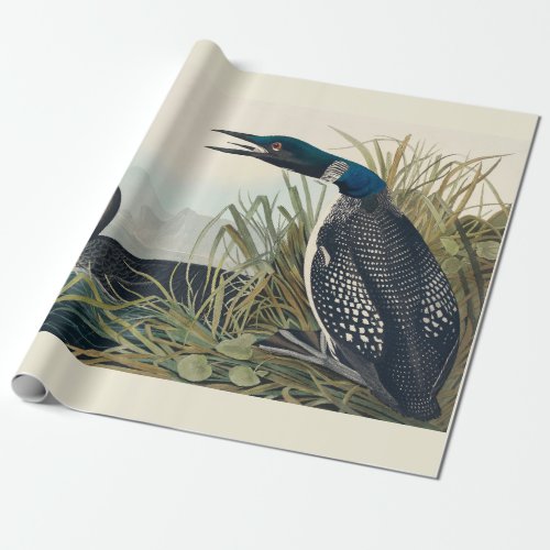 Audubon Bird Loon Diver Classic Wrapping Paper