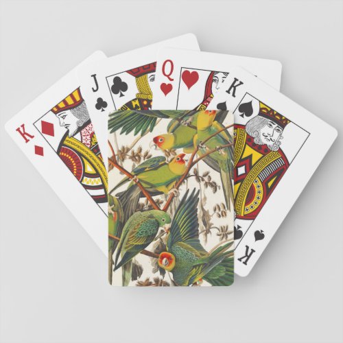 Audubon Birds of America Poker Cards