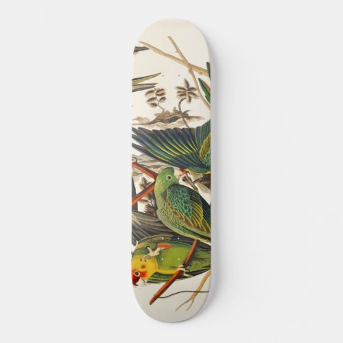 Audubon Birds of America Skateboard