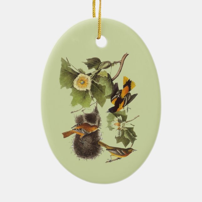 Audubon Birds Troupial Vintage Art  Ceramic Ornament (Back)