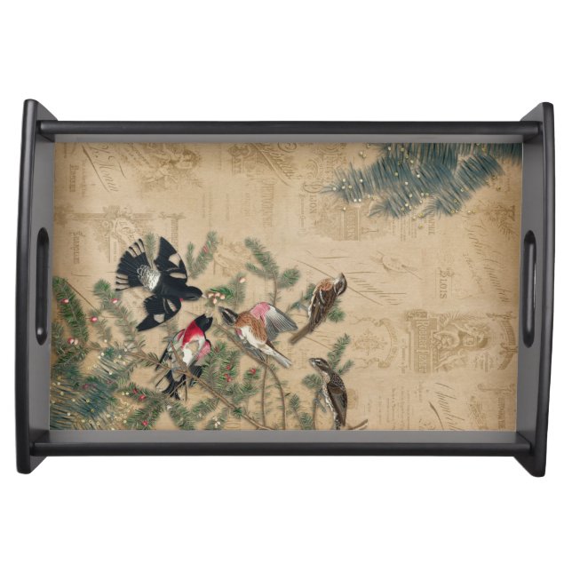 Audubon Birds Vintage Serving Tray (Front)