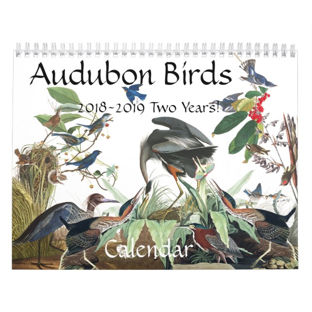 Audubon Birds Wildlife Animals 2018 2019 Calendar (Cover)