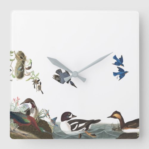 Audubon Birds Wildlife Animals Collage Wall Clock