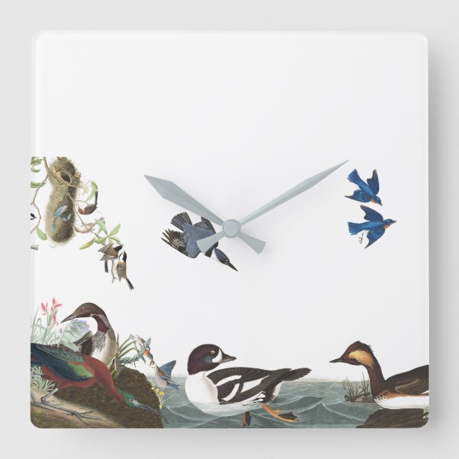 Audubon Birds Wildlife Animals Collage Wall Clock (Front)