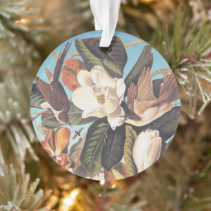 Audubon Black-Billed Cuckoo Birds Ornament