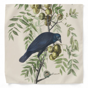 Audubon Black Crow American Bird Illustration Bandana