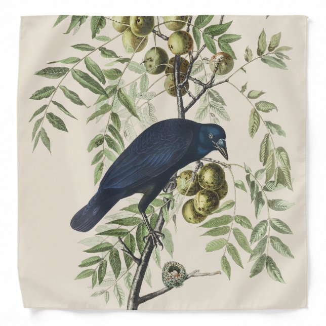 Audubon Black Crow American Bird Illustration Bandana (Front)