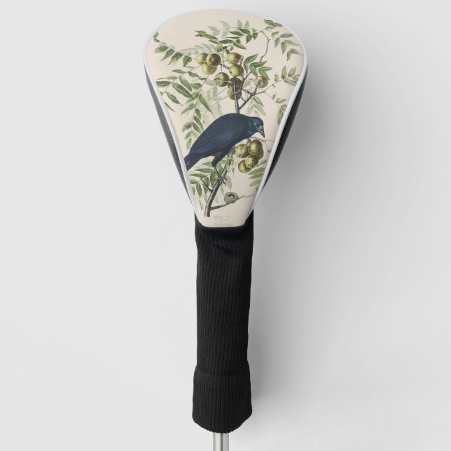 Audubon Black Crow American Bird Illustration Golf Head Cover (Front)