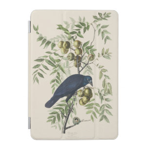 Audubon Black Crow American Bird Illustration iPad Mini Cover