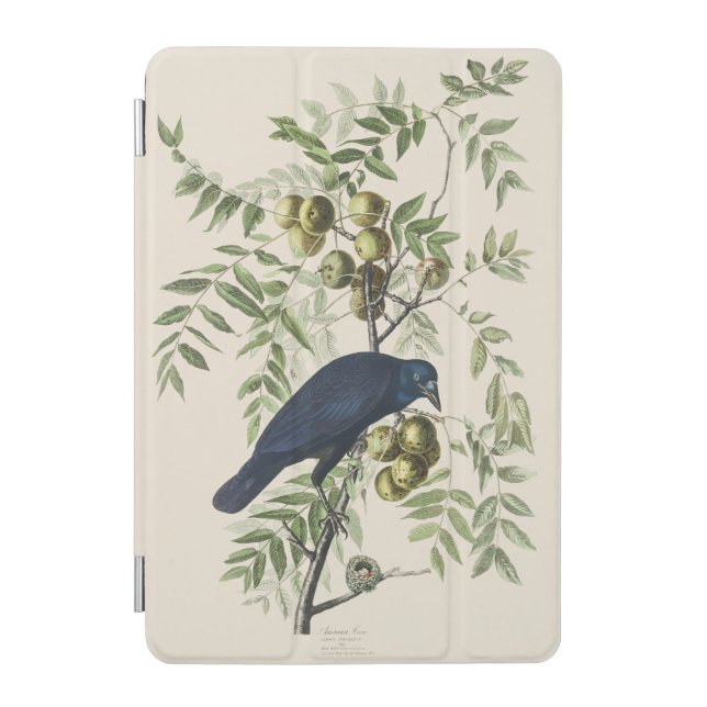 Audubon Black Crow American Bird Illustration iPad Mini Cover (Front)