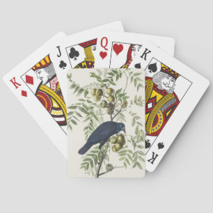 Audubon Black Crow American Bird Illustration Poker Cards