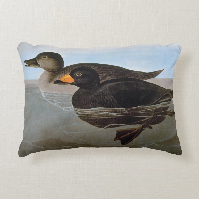Audubon: Black Scoter Decorative Pillow (Front)