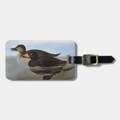 Audubon Black Scoter Luggage Tag