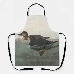 Audubon Black Scoter Print: Vintage Coastal Duck Apron