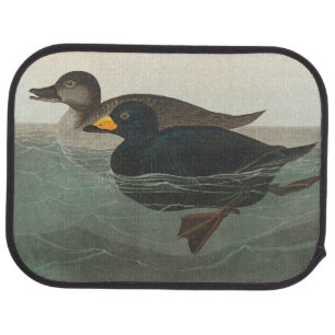 Audubon Black Scoter Print: Vintage Coastal Duck Car Floor Mat