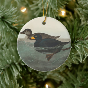 Audubon Black Scoter Print: Vintage Coastal Duck Ceramic Ornament