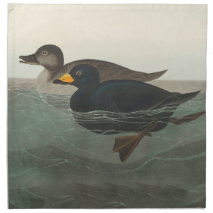 Audubon Black Scoter Print: Vintage Coastal Duck Cloth Napkin