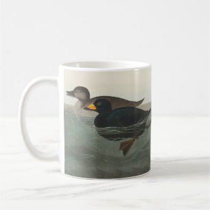 Audubon Black Scoter Print: Vintage Coastal Duck Coffee Mug