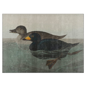 Audubon Black Scoter Print: Vintage Coastal Duck Cutting Board