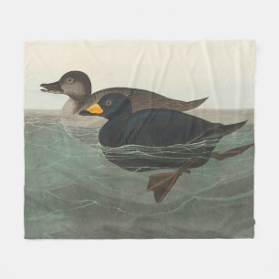 Audubon Black Scoter Print: Vintage Coastal Duck Fleece Blanket