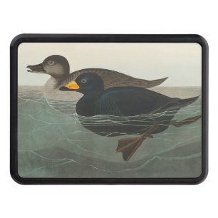 Audubon Black Scoter Print: Vintage Coastal Duck Hitch Cover