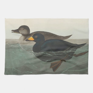 Audubon Black Scoter Print: Vintage Coastal Duck Kitchen Towel