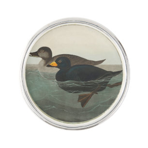 Audubon Black Scoter Print: Vintage Coastal Duck Lapel Pin