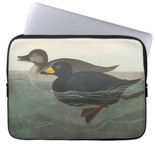 Audubon Black Scoter Print: Vintage Coastal Duck Laptop Sleeve