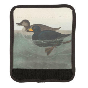 Audubon Black Scoter Print: Vintage Coastal Duck Luggage Handle Wrap