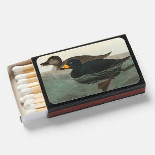 Audubon Black Scoter Print: Vintage Coastal Duck Matchboxes