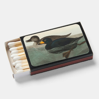 Audubon Black Scoter Print: Vintage Coastal Duck Matchboxes