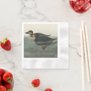 Audubon Black Scoter Print: Vintage Coastal Duck Napkins