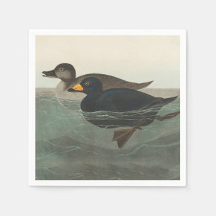 Audubon Black Scoter Print: Vintage Coastal Duck Napkins
