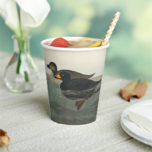 Audubon Black Scoter Print: Vintage Coastal Duck Paper Cups