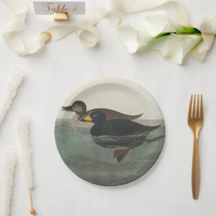 Audubon Black Scoter Print: Vintage Coastal Duck Paper Plates