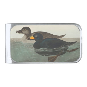Audubon Black Scoter Print: Vintage Coastal Duck Silver Finish Money Clip