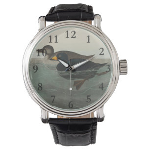 Audubon Black Scoter Print: Vintage Coastal Duck Watch