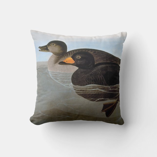Audubon: Black Scoter Throw Pillow (Front)