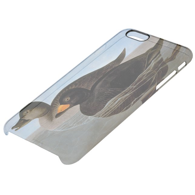 Audubon: Black Scoter Uncommon iPhone Case (Bottom)