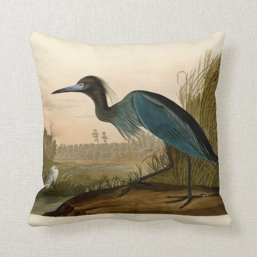 Audubon Blue Crane Heron Birds of America Pillow | Zazzle