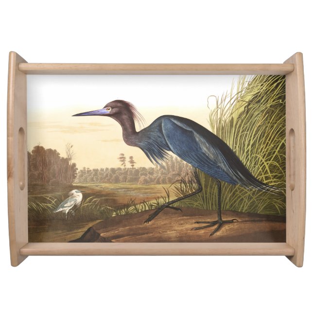 Audubon Blue Heron Birds Wildlife Serving Tray (Front)