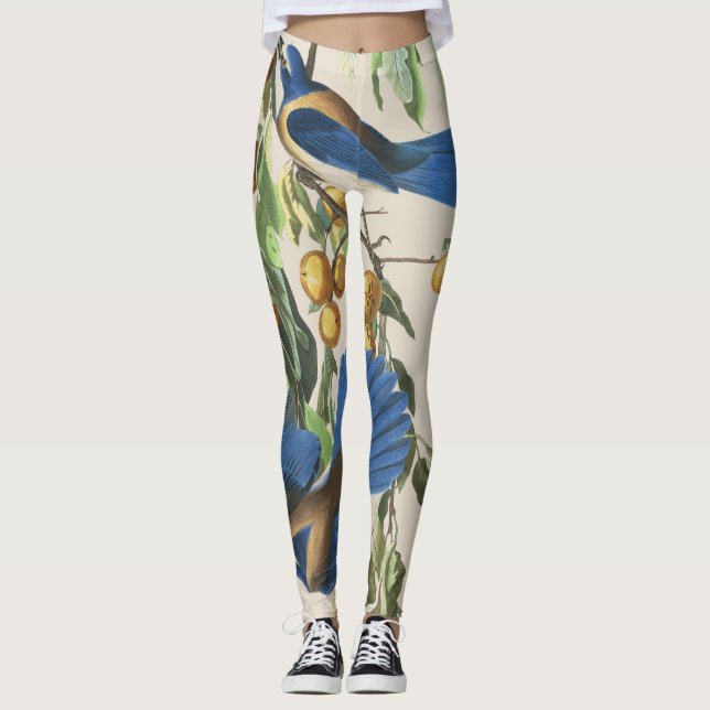 Audubon Blue Jay Birds All Over Print Leggings (Front)