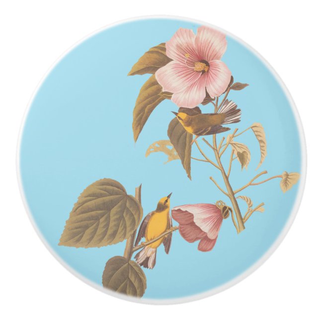 Audubon Blue Winged Yellow Warbler Bird Ceramic Knob (Front)